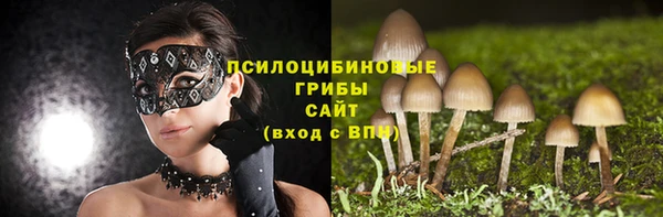 МДПВ Абаза
