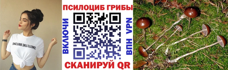 Галлюциногенные грибы Psilocybine cubensis  ОМГ ОМГ ТОР  Уржум  магазин  наркотиков 